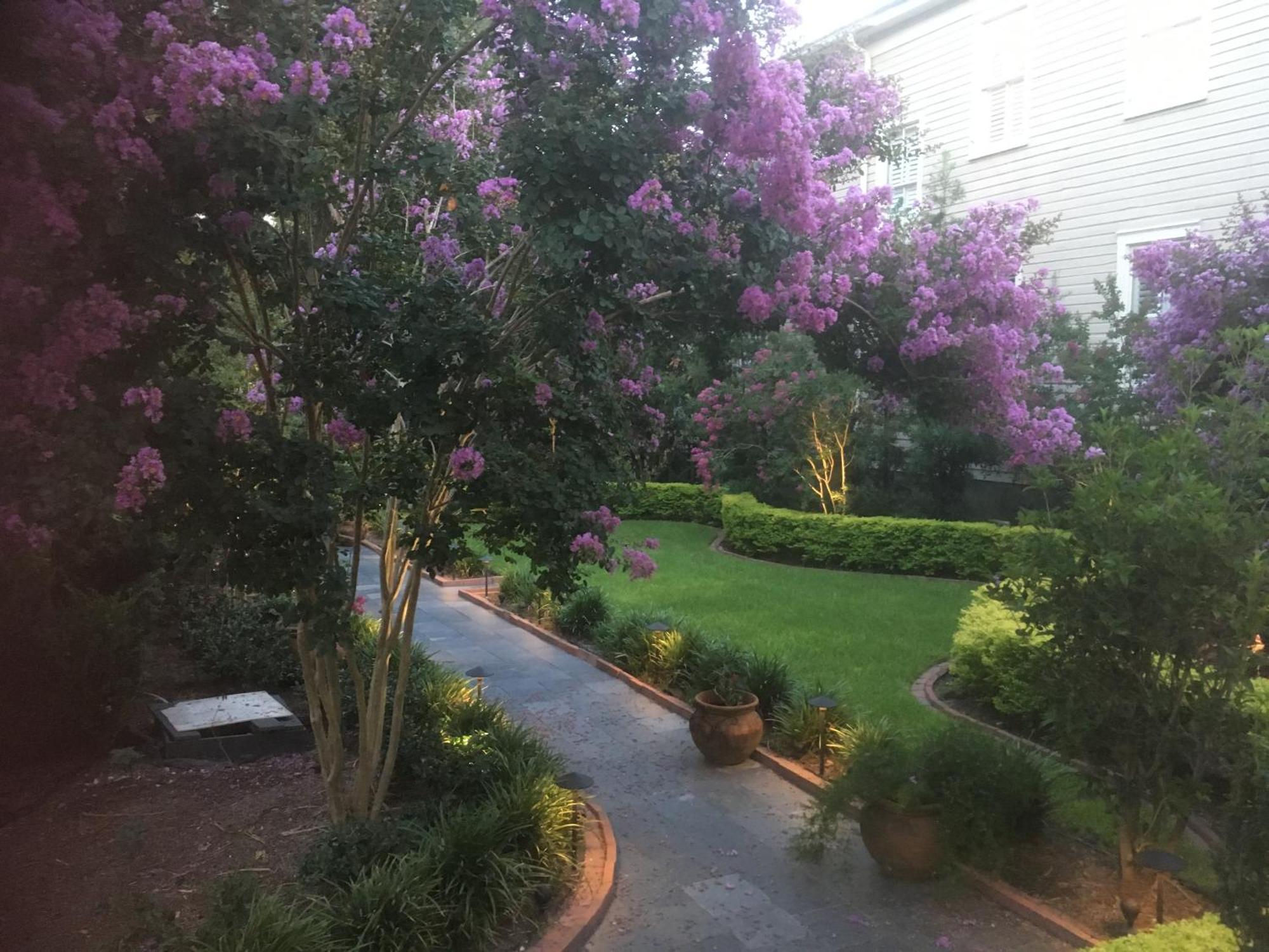22 Charlotte Bed & Breakfast Charleston Exterior photo