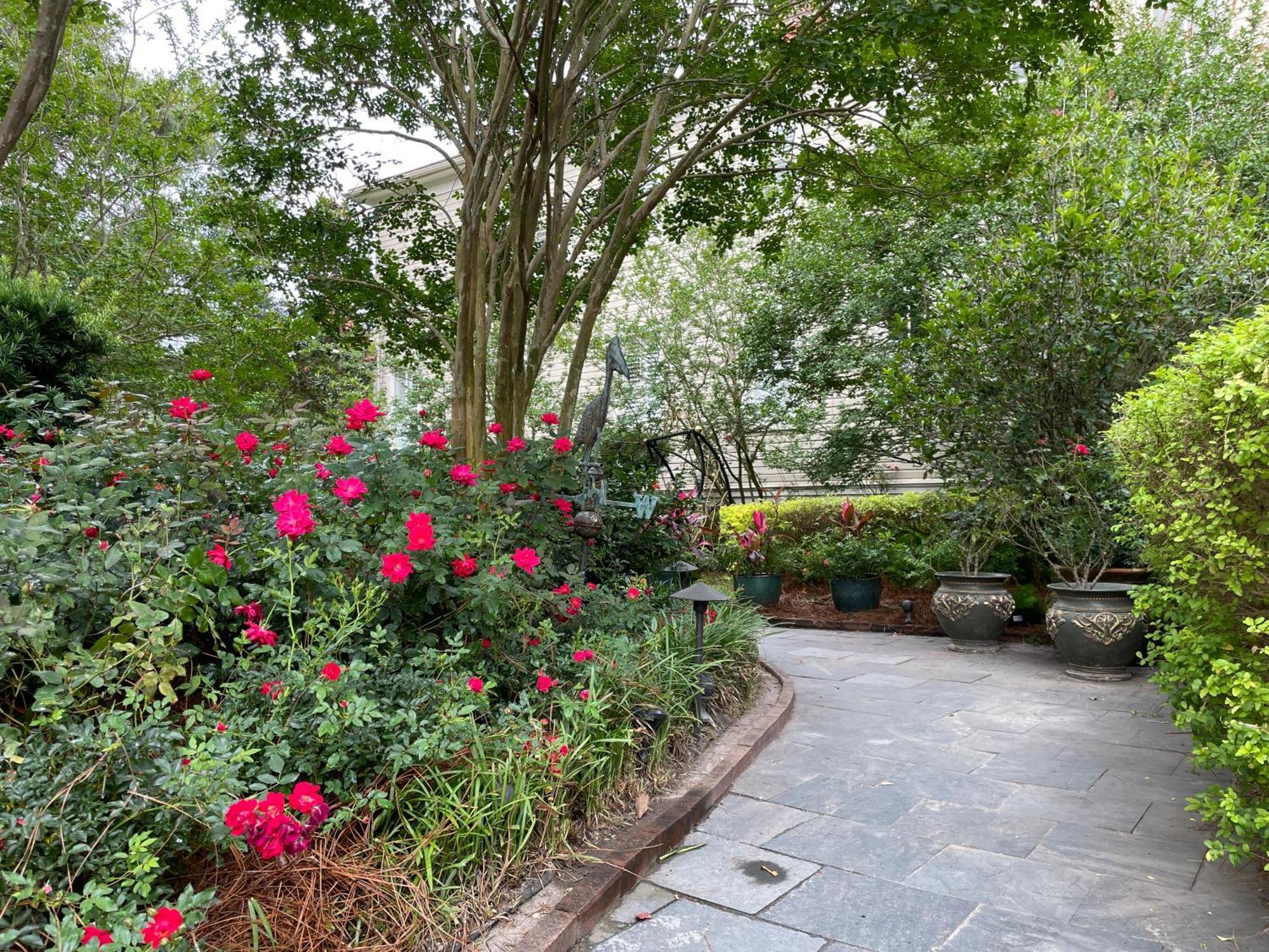 22 Charlotte Bed & Breakfast Charleston Exterior photo