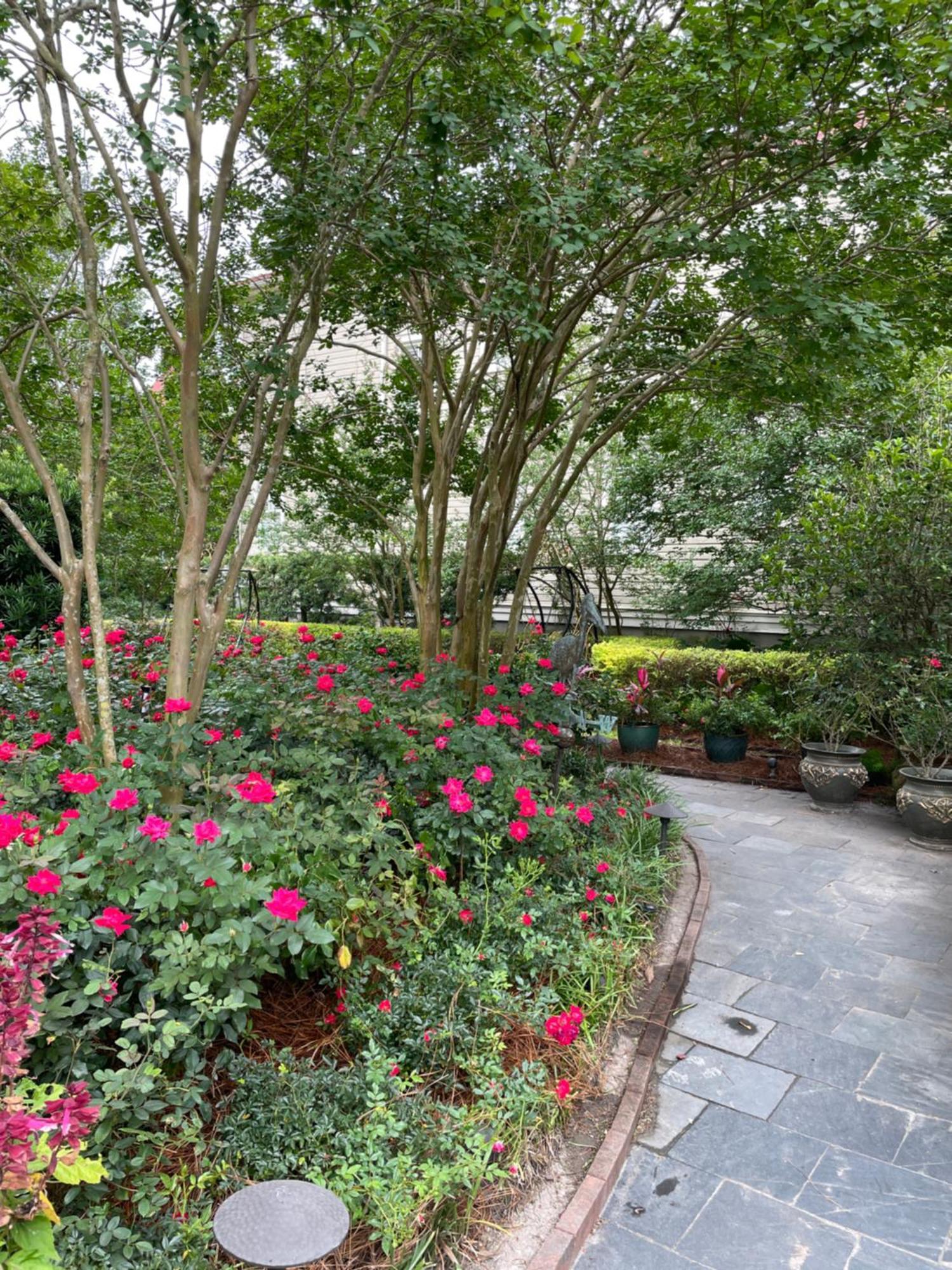22 Charlotte Bed & Breakfast Charleston Exterior photo